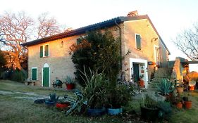 La Cana Dolce